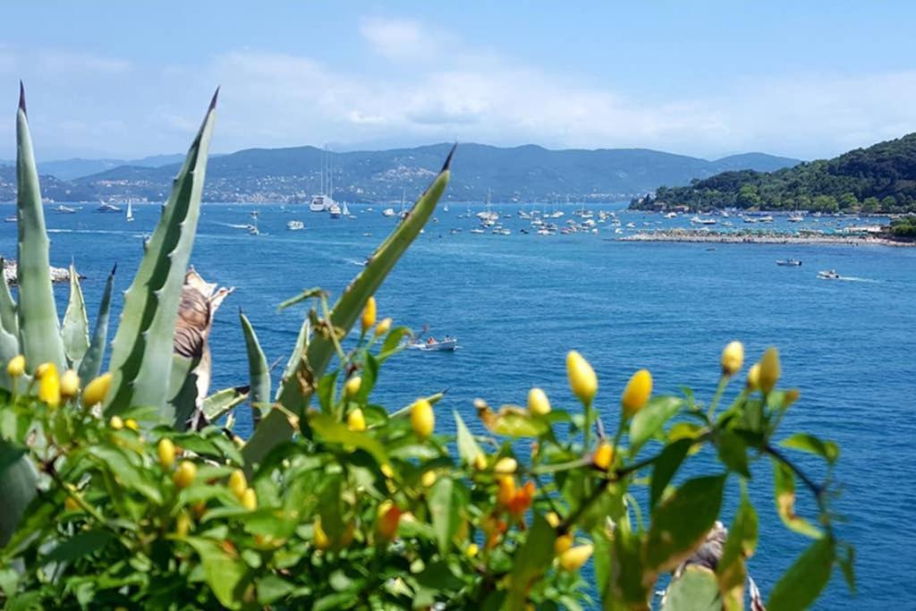 Infinity Blue Apartment Porto Venere Exterior photo